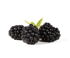 Brombeeren