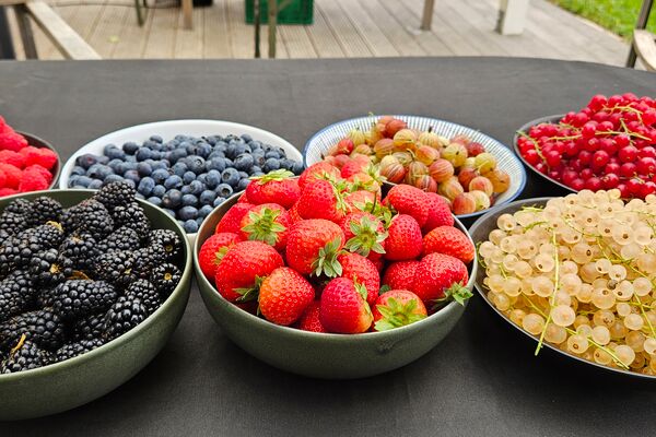 Verschiedene Schalen mit frischen Beeren wie Erdbeeren, Himbeeren, Brombeeren, Johannisbeeren, Stachelbeeren und Heidelbeeren – präsentiert auf einem schwarzen Tisch bei der Saison-Projektschulung von Manss Foodservice
