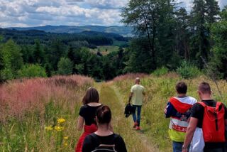 Eine Gruppe von Menschen wandert auf einem schmalen Pfad durch eine sommerliche Wald- und Wiesenlandschaft unter leicht bewölktem Himmel.