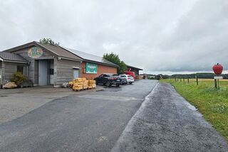 Hofzufahrt zum Obsthof Körn mit Hofladen-Gebäude, parkenden Autos, Erdbeer-Werbefigur und Blick über die angrenzenden Felder