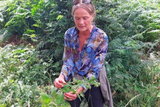 Eine Frau erklärt bei einer Exkursion im Wald eine Wildpflanze; sie steht inmitten hoher Gräser und Farnen und zeigt die Blätter einer Pflanze.