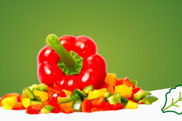 Rote Paprika umgeben von gelben, roten und grünen Paprikawürfeln auf weiß-grünem Hintergrund mit dekorativen Icons.