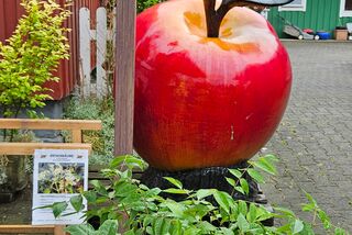 Riesiger Apfel als auffällige Dekoration vor einem Hofladen mit roter Fassade und bepflanzten Tomaten-Setzlingen im Vordergrund