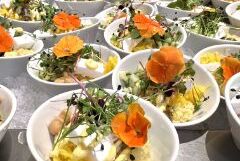 Mehrere weiße Schalen mit kreativen Bowls, verziert mit essbaren Blüten und Microgreens, angerichtet für Gäste des ausgezeichneten Seminarhotels.