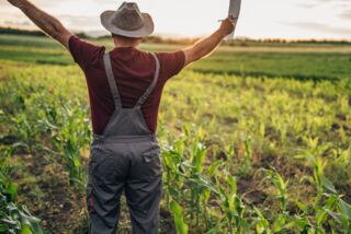 Ein Landwirt steht mit offenen Armen auf einem jungen Gemüsefeld, während die Sonne am Horizont aufgeht – Symbol für regionale Herkunft und moderne Landwirtschaft.