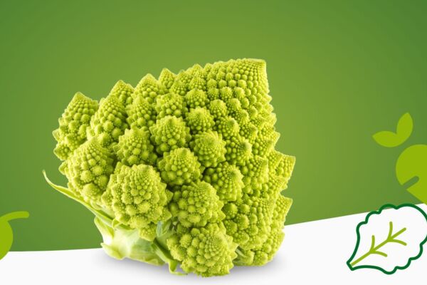 Ein einzelner Romanesco-Kohl in Nahaufnahme vor einem grünen Verlauf mit stilisierten Icons von Blatt, Möhre und Pflanze als grafische Dekoration.