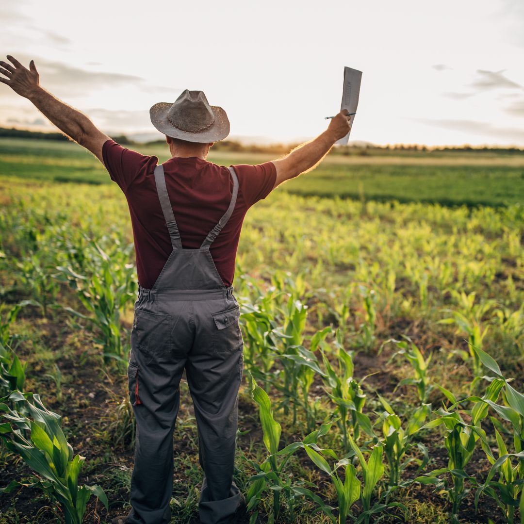 Ein Landwirt steht mit offenen Armen auf einem jungen Gemüsefeld, während die Sonne am Horizont aufgeht – Symbol für regionale Herkunft und moderne Landwirtschaft.